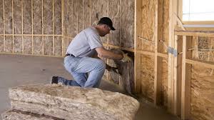 Professional Insulation Services in Kinston, NC